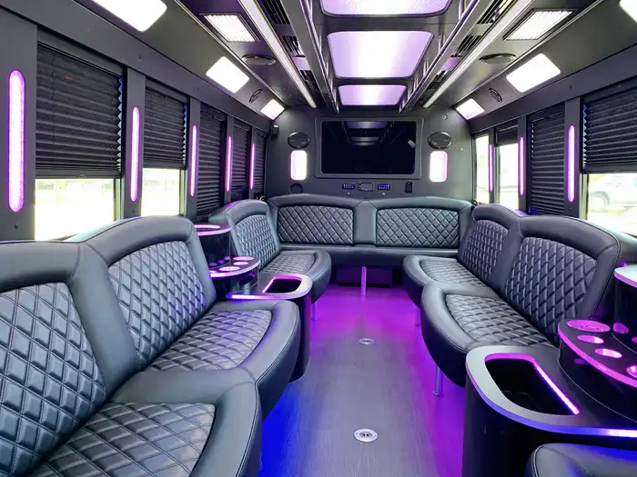 18 passenger party bus interior